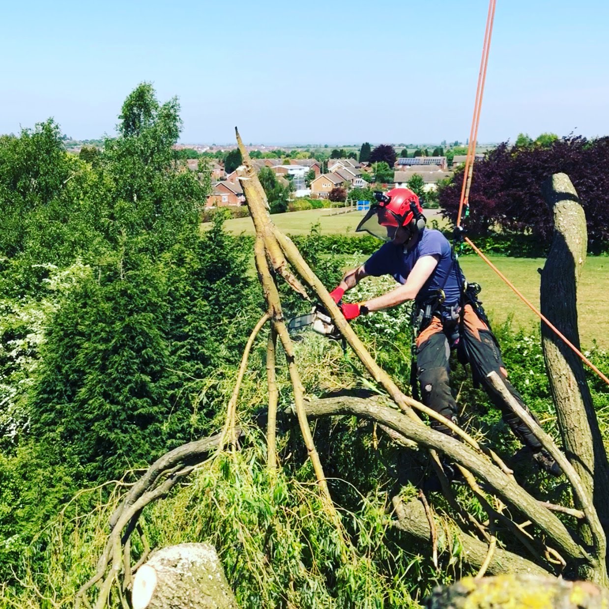 Person cutting branches from a tree using a chainsaw on a sunny day.